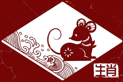 2023年属鼠人的全年运势(2023年属鼠人的全年运势1996出生)插图