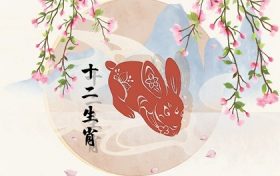 99年属兔手机尾号是什么好(属兔手机尾号后四位吉祥号是多少)缩略图 99年属兔手机尾号是什么好(属兔手机尾号后四位吉祥号是多少)缩略图