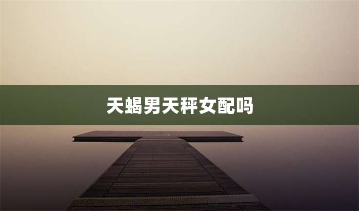 天蝎男天秤女配吗插图