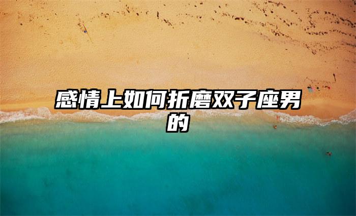 感情上如何折磨双子座男的插图