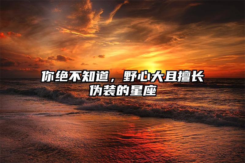 你绝不知道，野心大且擅长伪装的星座插图