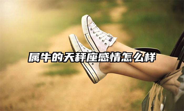 属牛的天秤座感情怎么样插图