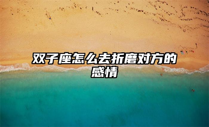 双子座怎么去折磨对方的感情插图