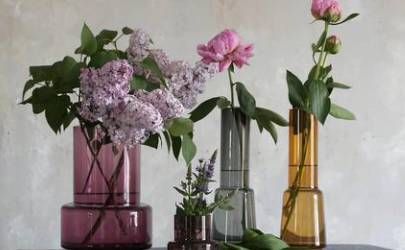 教师节什么生肖的老师能收到最多祝福插图