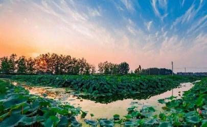 盘子碎成两半怎么去化解 玻璃盘子裂成两半吉凶插图