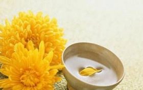 2023年生肖虎桃花运如何 2023年生肖虎女运势缩略图 2023年生肖虎桃花运如何 2023年生肖虎女运势