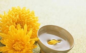 2023年生肖虎桃花运如何 2023年生肖虎女运势插图
