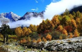2023年是黑兔年吗 黑兔年大灾难有什么说法缩略图 2023年是黑兔年吗 黑兔年大灾难有什么说法