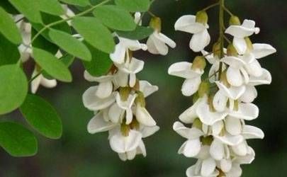 逢九年可以结婚吗 逢九年穿红有啥说法插图