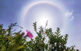 2023年犯太岁如何躲太岁 犯太岁如何化解缩略图 2023年犯太岁如何躲太岁 犯太岁如何化解