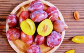 父母为属鸡的生兔宝宝好吗缩略图 父母为属鸡的生兔宝宝好吗