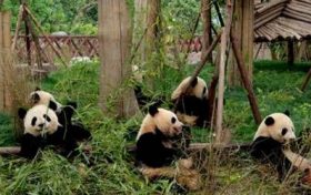 马和兔在一起财运好吗 马和兔合财运缩略图 马和兔在一起财运好吗 马和兔合财运