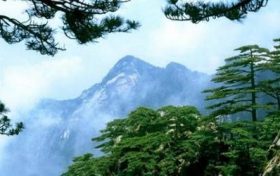 生肖马2023年有三喜吗 属马人2023几月转运缩略图 生肖马2023年有三喜吗 属马人2023几月转运