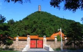属马的今年多大2023 生肖马今年2023年虚岁的岁数缩略图 属马的今年多大2023 生肖马今年2023年虚岁的岁数