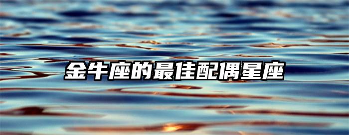 金牛座的最佳配偶星座插图