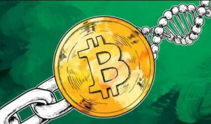 加密币交易app十大软件 排名前十的加密货币app插图2 加密币交易app十大软件 排名前十的加密货币app插图2