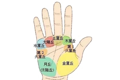 月丘饱满是什么意思 手相月丘饱满代表什么插图1