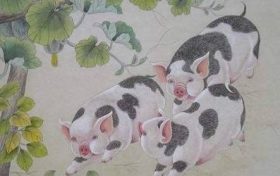 属猪运势最好的年份 属猪人哪年运势最好缩略图 属猪运势最好的年份 属猪人哪年运势最好