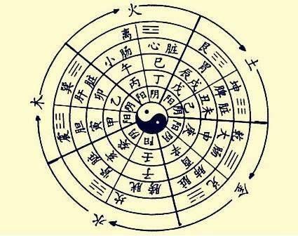 时辰和生肖的对应划分 时辰冲生肖有什么要注意的吗插图