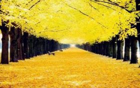 生肖鸡和什么生肖相冲 与鸡相冲相克是什么生肖缩略图 生肖鸡和什么生肖相冲 与鸡相冲相克是什么生肖