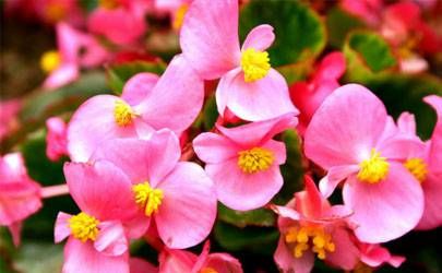 2023雨水节气过后还冷吗 哪个节气过完就不冷了插图