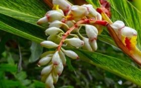 一胎与二胎相冲的属相有哪些 如何化解生肖劫难缩略图 一胎与二胎相冲的属相有哪些 如何化解生肖劫难