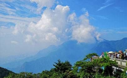 2023兔年天喜星动的生肖 属兔的天喜年是哪一年插图