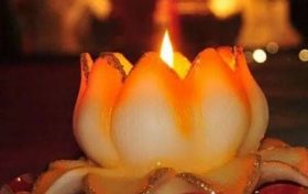 一胎生肖兔二胎生肖鸡行不行 属兔和属鸡适合做家人吗?缩略图 一胎生肖兔二胎生肖鸡行不行 属兔和属鸡适合做家人吗?