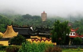 八月虎为什么不好 属虎人的一生财运缩略图 八月虎为什么不好 属虎人的一生财运