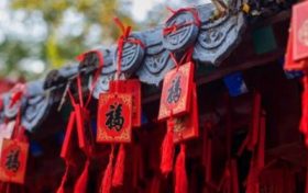 95属猪女生命中注定要嫁的人 属猪女的最佳婚配