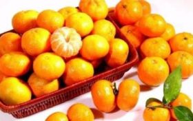 十二生肖属羊人换运大揭秘 生肖羊如何换运转运缩略图 十二生肖属羊人换运大揭秘 生肖羊如何换运转运