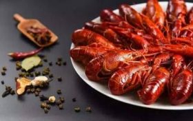 2023年属兔的十二月出生好不好 农历腊月的兔宝宝命运解析缩略图 2023年属兔的十二月出生好不好 农历腊月的兔宝宝命运解析