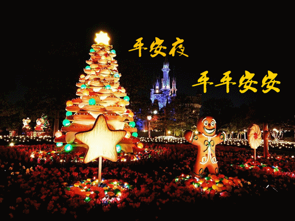 平安夜2023年是几月几日：12月24日平安夜插图