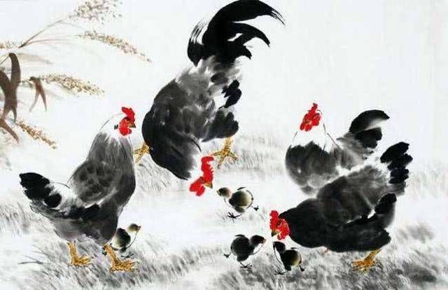 属鸡不宜婚配的属相  属鸡的三大忌配生肖插图