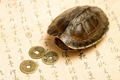 命带华盖的女人是好命 华盖星查法以什么为准插图