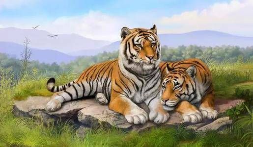 家人属相相冲怎么办 姐妹属相相冲怎么办插图