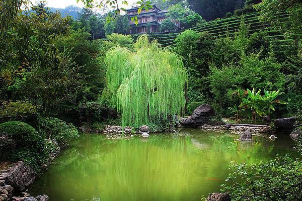 走七杀大运有什么特征 七杀逢大运流年详解插图