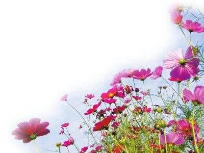 盲人断财官秘诀 看十神秘诀插图