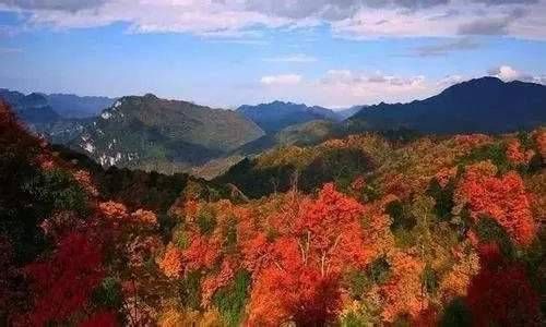 纯阴纯阳怎么判断 纯阴纯阳的八字特征插图