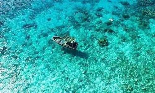 属马女人对待感情是怎样的 如何追求属马的女人插图