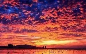 八字流年桃花怎么看 八字属金桃花缩略图 八字流年桃花怎么看 八字属金桃花