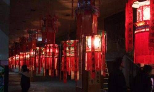 生肖猴财运怎么样 属猴人适合养什么植物招财插图