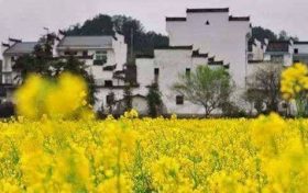 地支十神都是什么