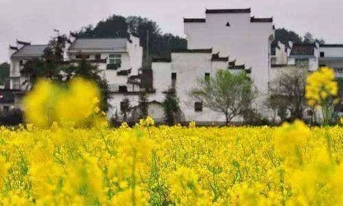 地支十神都是什么插图