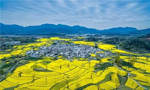 容易受伤八字 八字火土之气强盛插图