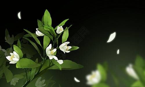 辛丑年农历二月十六出生的宝宝命运插图