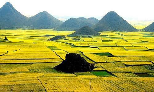 手机号后六位决定财运 手机号码尾数定财运插图