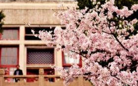 申时出生的男生命苦吗 什么时候出生不好缩略图 申时出生的男生命苦吗 什么时候出生不好