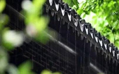 牛年带米字洋气点的名字 牛宝宝时尚好名插图
