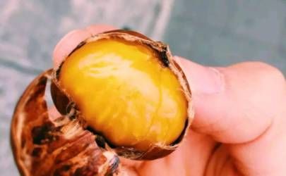 红颜薄命的女人面相特征插图